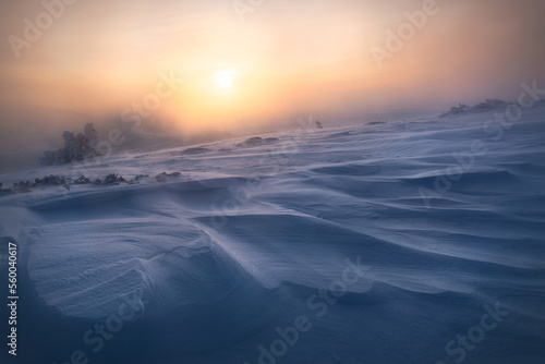Fototapeta Naklejka Na Ścianę i Meble -  Beskidy zimą