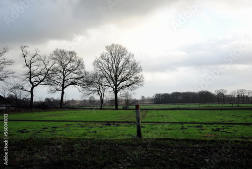 Rain clouds over a rural winter landscape in Overijssel, one of the north eastern provinces in the Netherlands photo