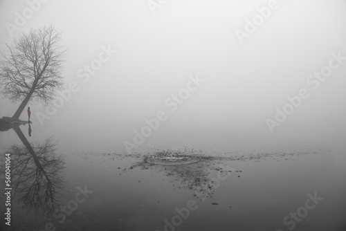 Fototapeta Naklejka Na Ścianę i Meble -  Jezioro