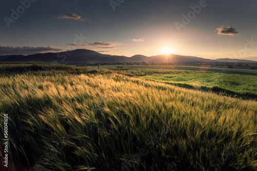 Fototapeta Naklejka Na Ścianę i Meble -  Beskidy - pola