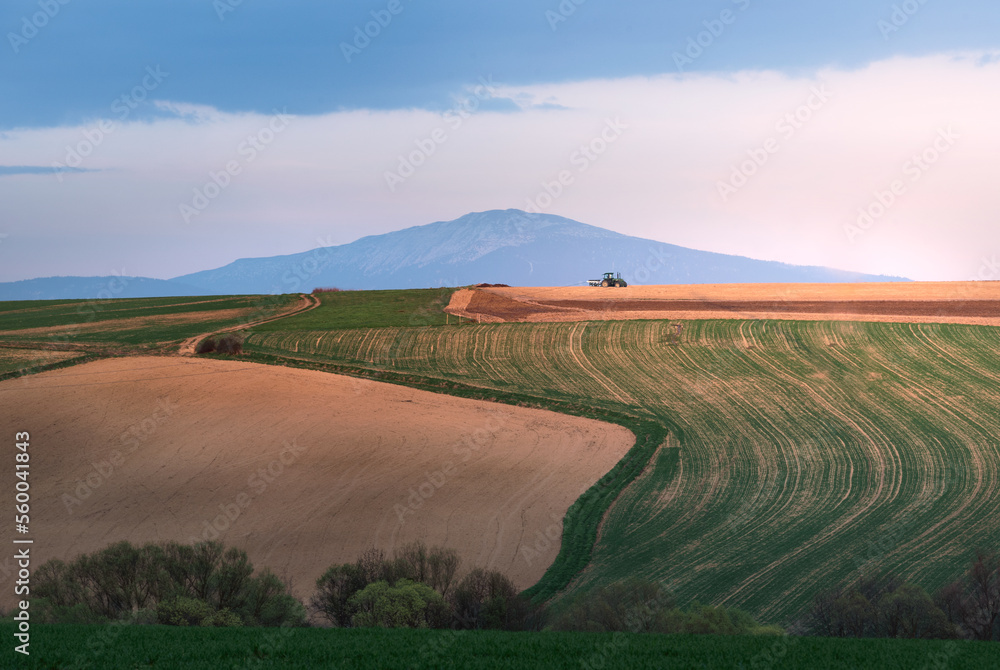 Obraz premium Beskidy - pola