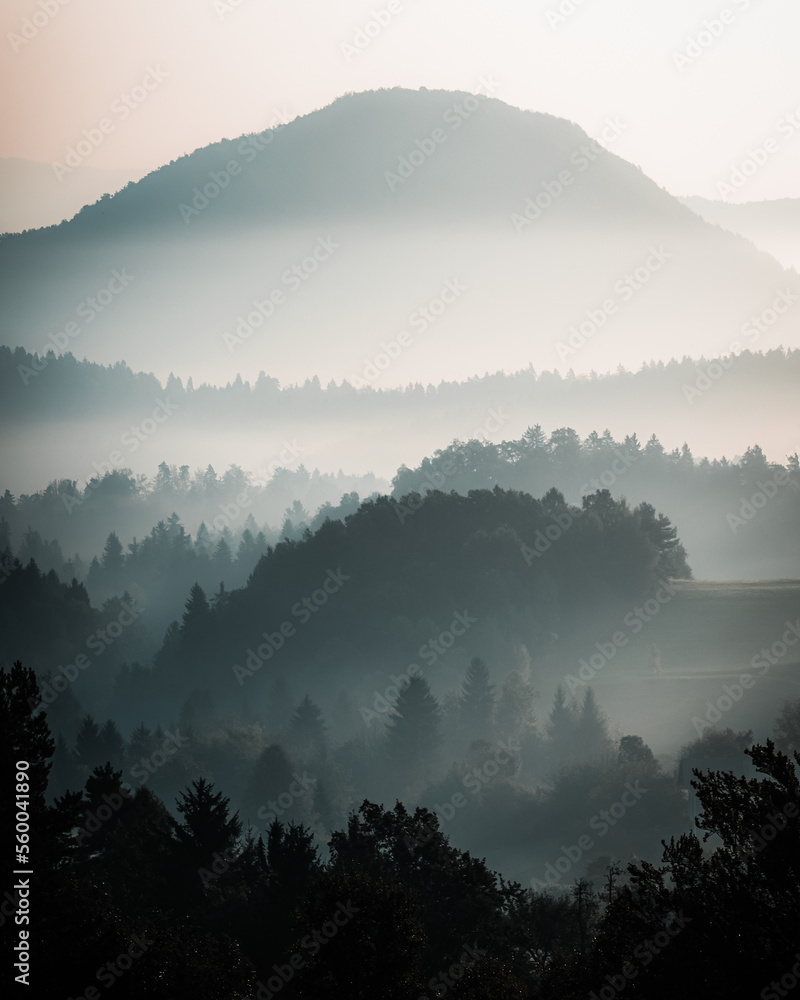 fog in the hills