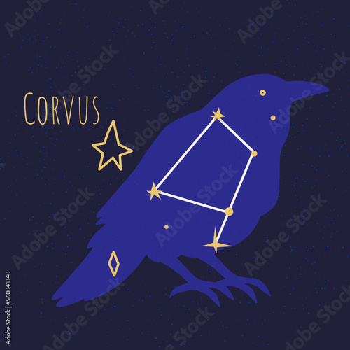 Constellation of corvus, star shape in form of bird