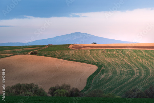 Fototapeta Naklejka Na Ścianę i Meble -  Beskidy - pola