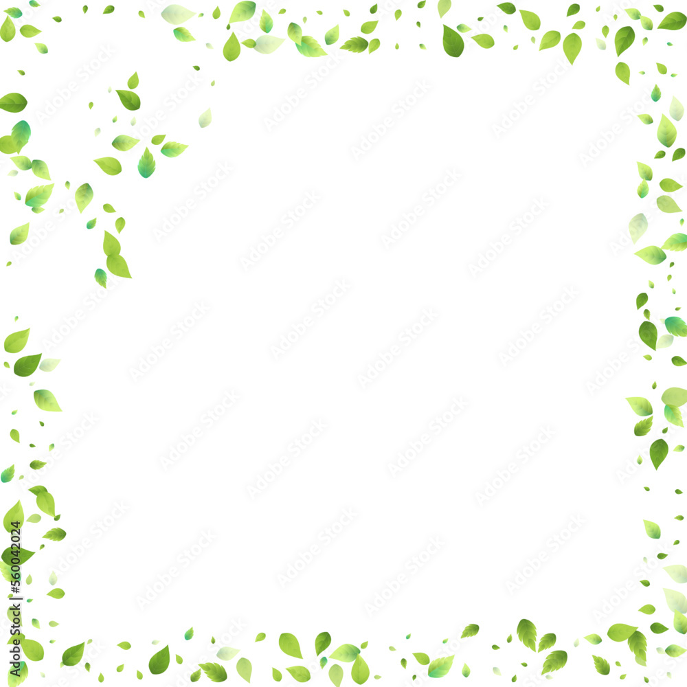 Leaves Green Falling Flying Foliage Leaf Tea Mint Leaves Green Falling Flying Foliage Leaf Tea Mint