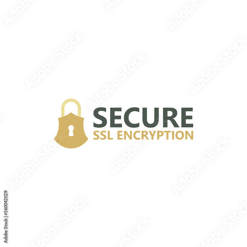 SSL secure https connection icon isolated on white background
