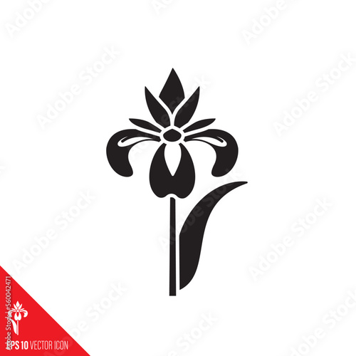 Iris flower vector icon