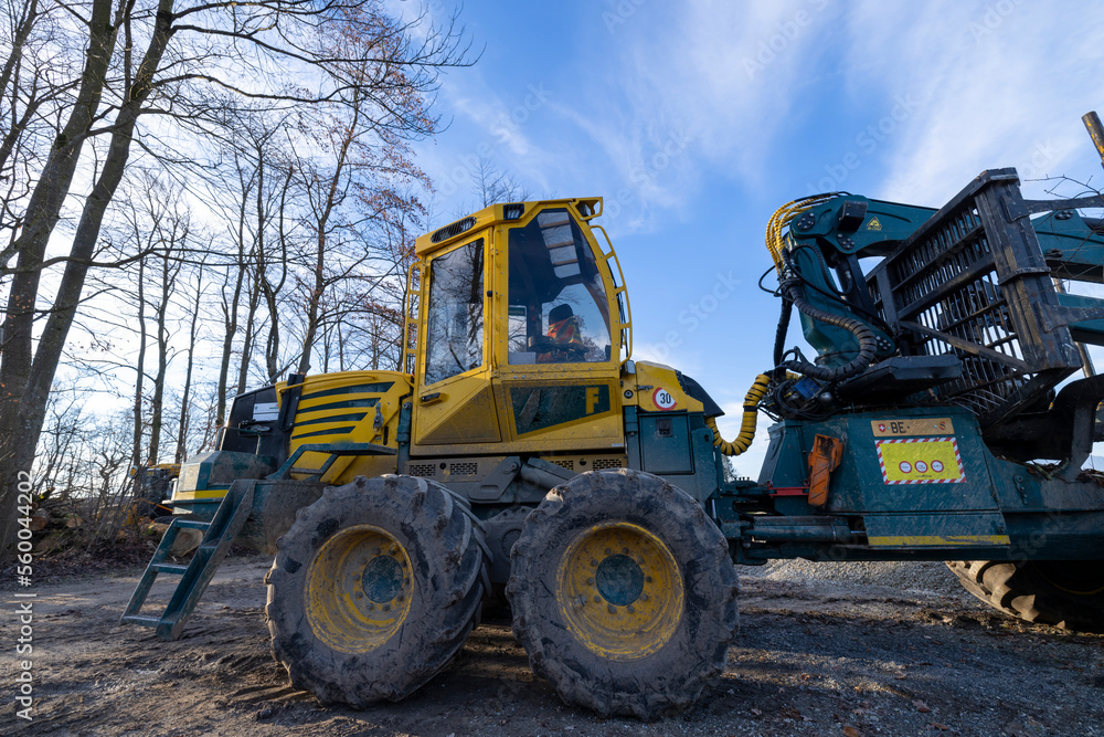 pneulader für holz im wald