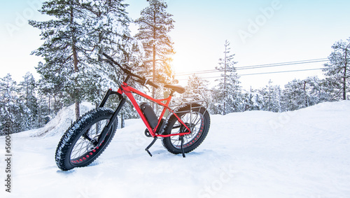 Fat bike in the snow. Adventure winter sports.