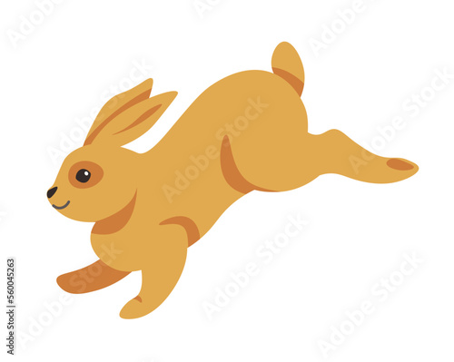 Leaping rabbit  running and jumping hare animal