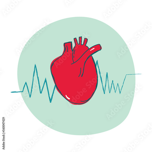 Doodle Vector Illustration Anatomical Realistic Human Heart with electrocardiogram. Cardiology healthcare concept
