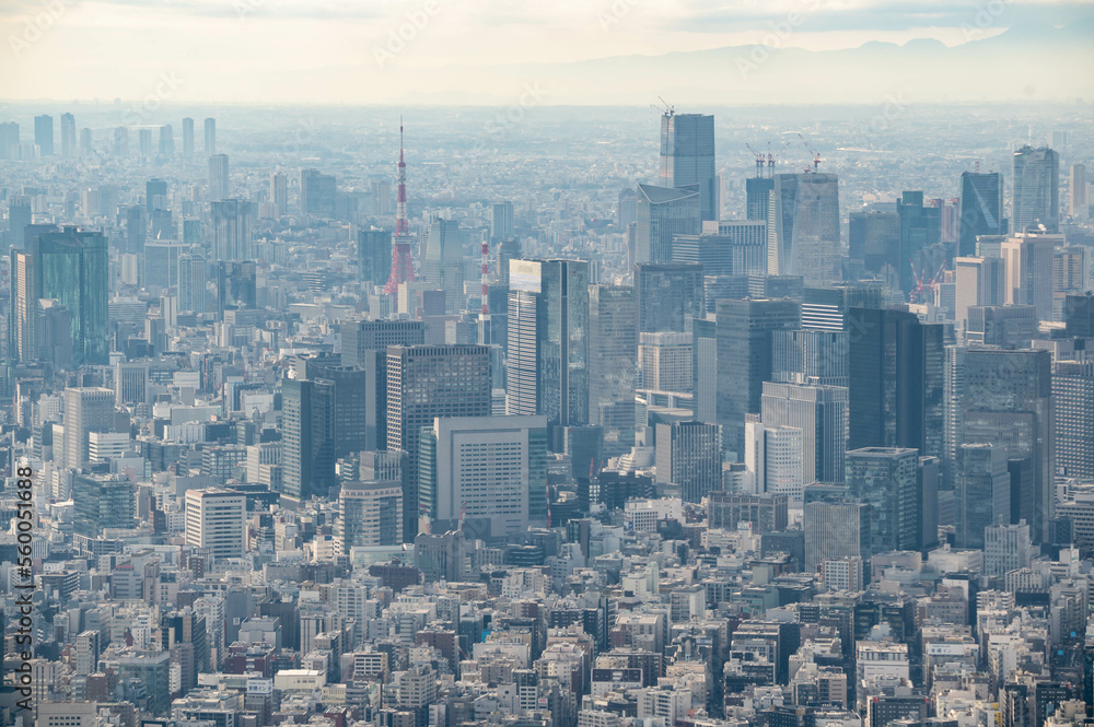 Fototapeta premium 東京都墨田区 東京スカイツリーから望む高層ビル群