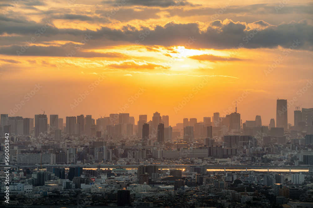 Fototapeta premium 千葉県市川市 アイリンクタワー展望室から望む東京の夕景