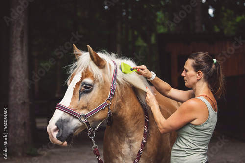 Woman brushing horses hair with a brush, taking care of the horse © VisualProduction