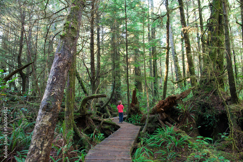 Wallpaper Mural A young boy walks through the trees in an old growth forest in Pacific Rim National Park. Torontodigital.ca
