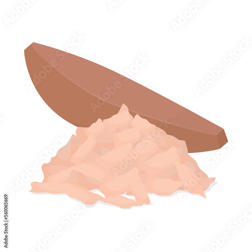 Vector illustration of dried bonito.