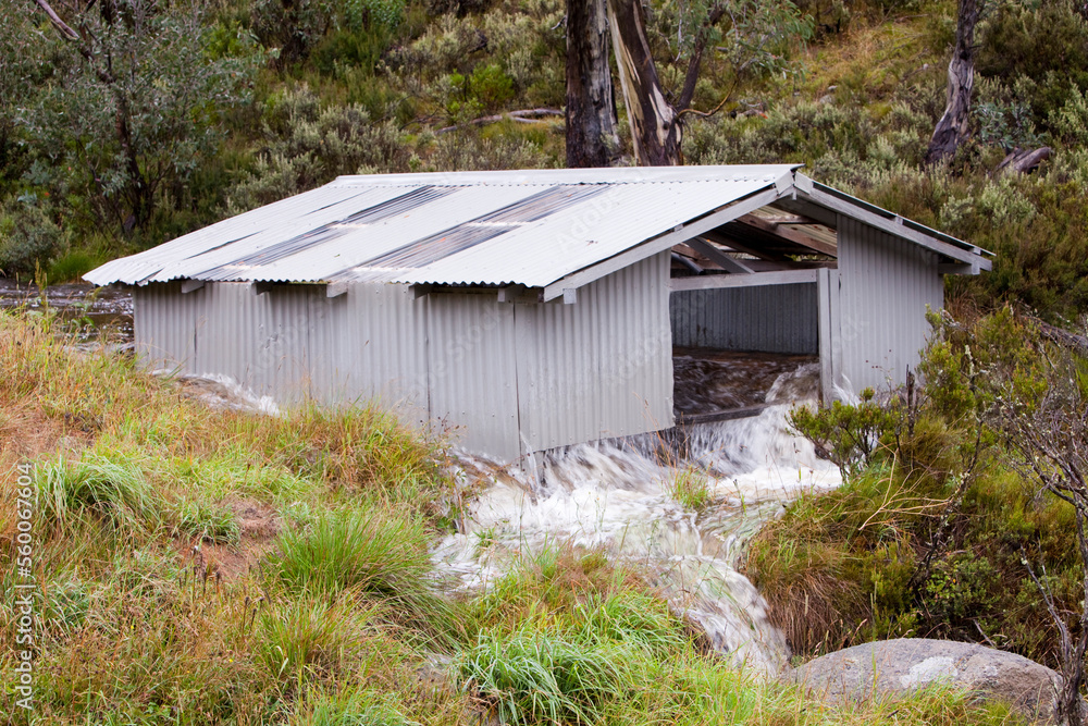 Much of New South Wales has been gripped by a desperate drought for the last 15 years. In February 2010 the Snowy Mountains enjoyed its first significant rainfall in 9 years, causi Much of New South Wales has been gripped by a desperate drought for the last 15 years. In February 2010 the Snowy Mountains enjoyed its first significant rainfall in 9 years, causi