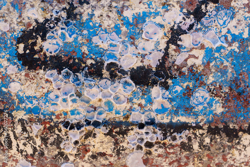 Wallpaper Mural Colourful abstract design of barnacles on the hull of a boat Torontodigital.ca
