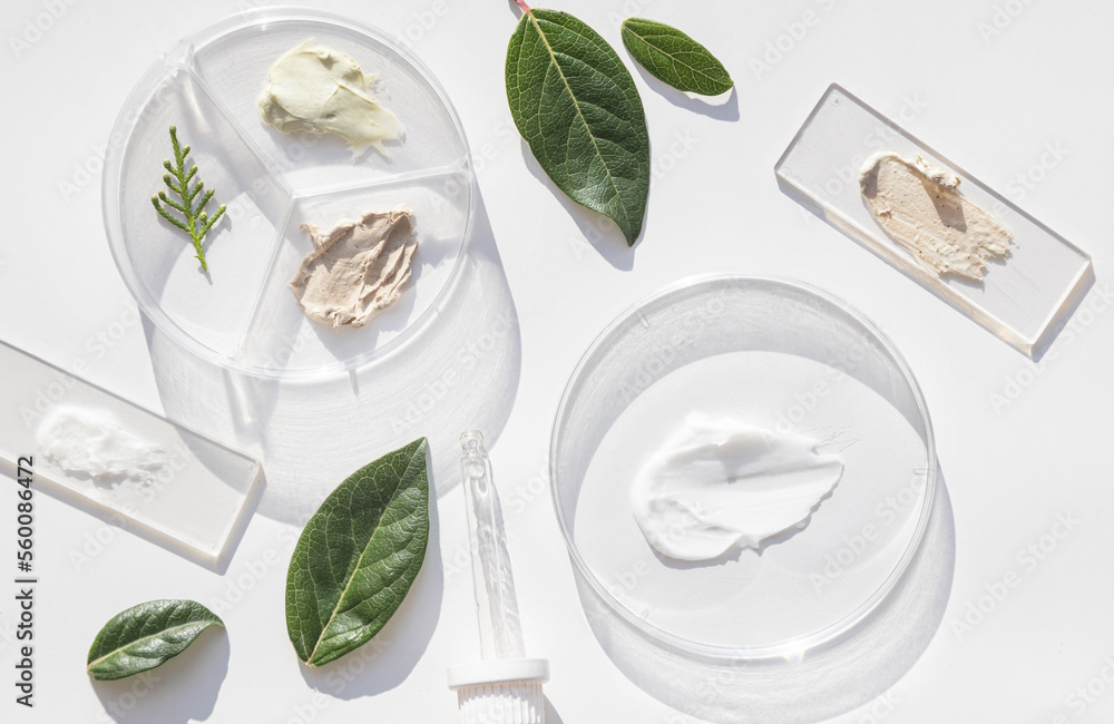 natural face cream on a white table and plant branches - obrazy, fototapety, plakaty 