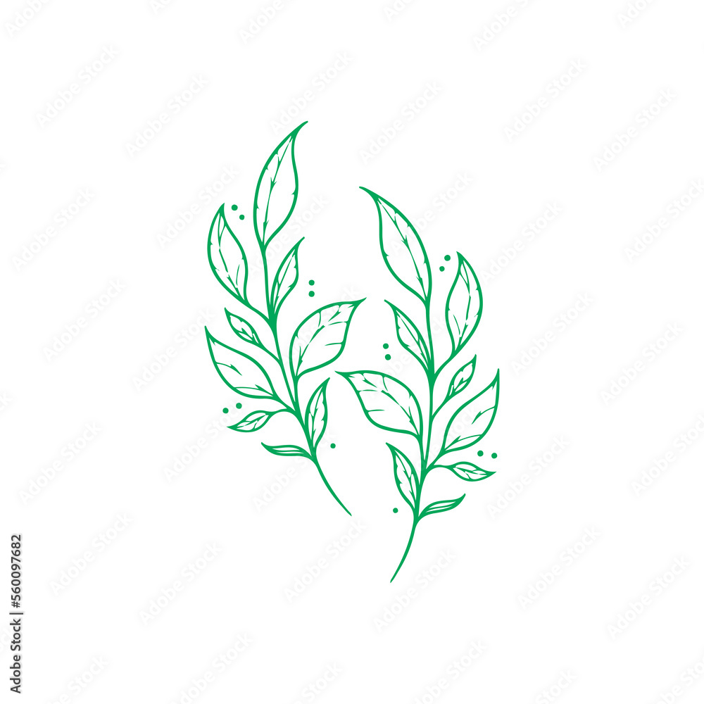 Fototapeta premium vector illustration of two green leaves