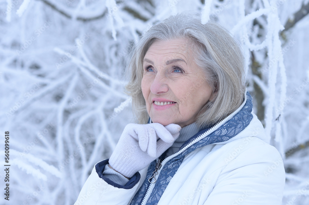 portrait of a beautiful woman in winter portrait of a beautiful woman in winter