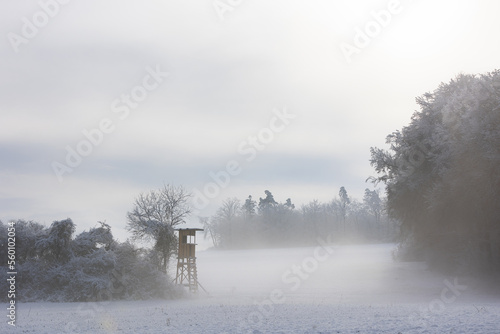 Tableau sur toile hunting from deer stand