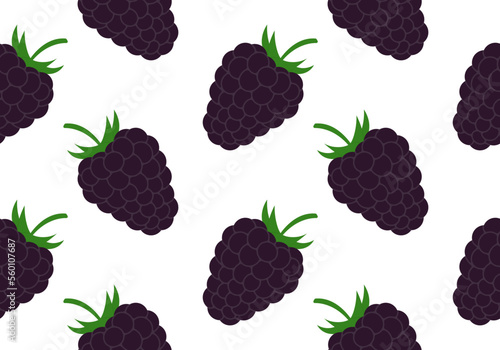 Blackberry seamless pattern or texture. Summer fruit, berry background. Vector illustration.