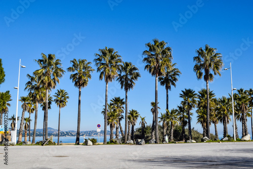 Beach Cogolin France with palm trees