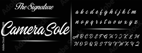 Signature Font Calligraphy Logotype Script Brush Font Type Font lettering handwritten
