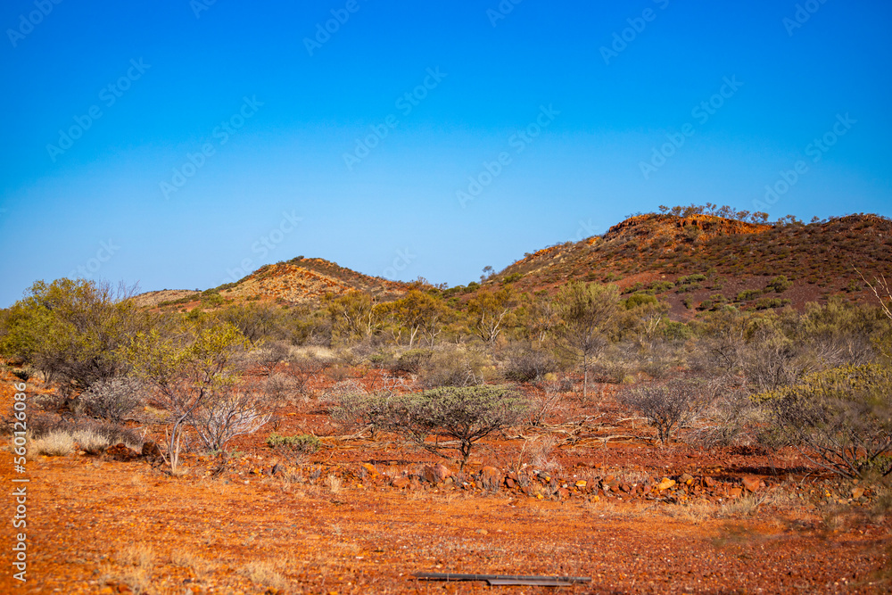 panorama of karijini national park in western australia; australian outback with red rocks, distinctive trees and mountains in the background
