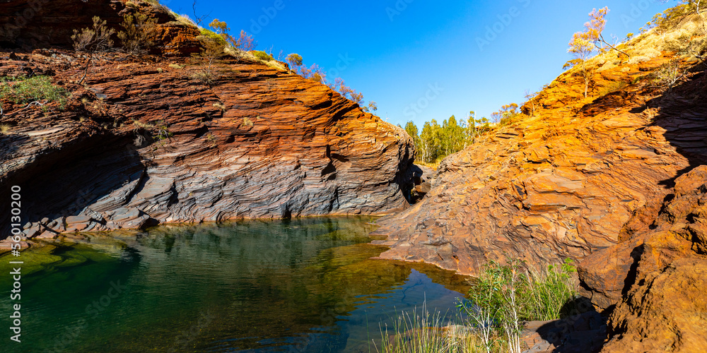 a panorama of hamersley gorge in karijini national park, western australia; a lush red canyon in the desert with red sand and rocks; an oasis in the australian outback