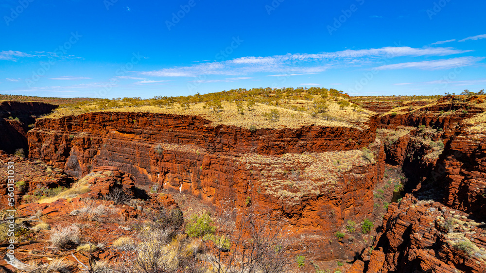 panorama of gorge in karijini national park in western australia; a lush red canyon in the desert with red sand and rocks; an oasis in the australian outback