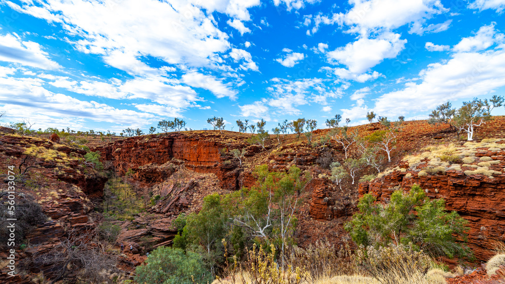 panorama of gorge in karijini national park in western australia; a lush red canyon in the desert with red sand and rocks; an oasis in the australian outback