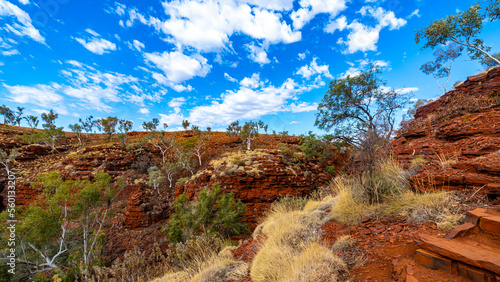 panorama of gorge in karijini national park in western australia; a lush red canyon in the desert with red sand and rocks; an oasis in the australian outback photo