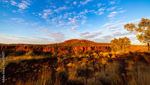 Sunrise over dales gorge in karijini national park, western australia; Australian outback with red rocks, distinctive trees and mountains in the background photo