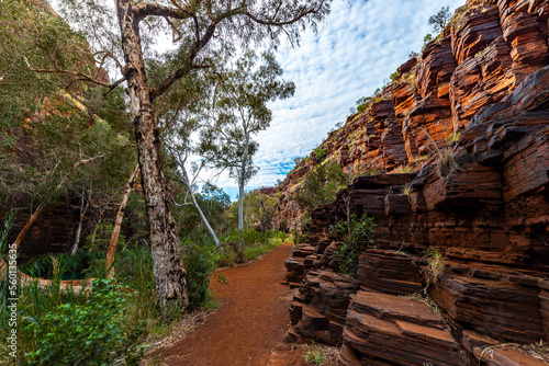 The interior of dales gorge in karijini national park in western australia; a lush red canyon in the desert with red sand and rocks; an oasis in the australian outback