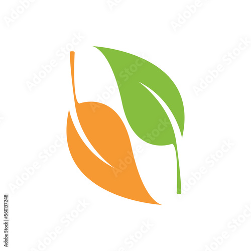 Green Leaf Icon Vector Illustrations
