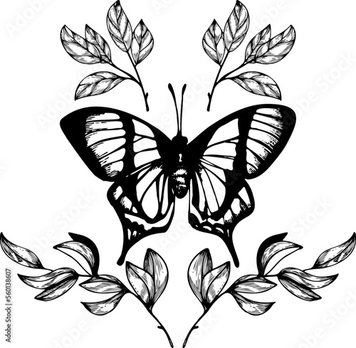 black and white linear illustration of a butterfly and branches with leaves symmetrical tattoo style image.
