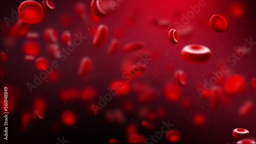 Red blood cells flowing in veins. macro close view (ID: 560148849)