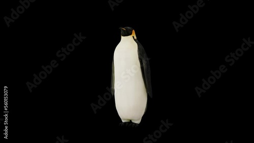 Animated penguin front view and waving flippers (ID: 560153079)