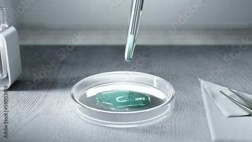 Laboratory work table. The petri dish contains biomaterials. (ID: 560153658)