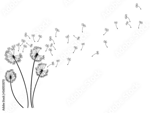 Dandelion wind blow background. Black silhouette with flying dandelion buds on white. Abstract flying blow dandelion seeds. Decorative graphics for printing. Floral scene design