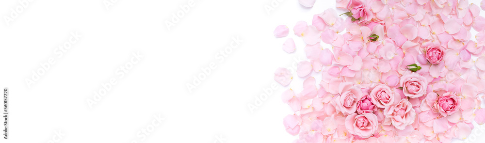Background of delicate pink rose petals and buds closeup. Viva Magenta color of the year 2023