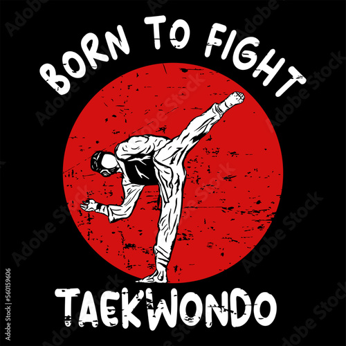 taekwondo logo icon vector