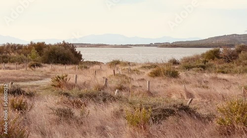 Lake landscape with mountains at sunrise. Lake of Leucate, Languedoc-Roussillon, France.
between the departments of Pyrénées-Orientales and Aude in Occitania.