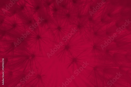 Abstract dandelion flower in trendy color -  viva magenta, color of the year 2023