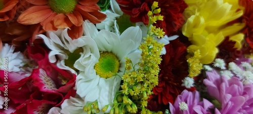 Flores