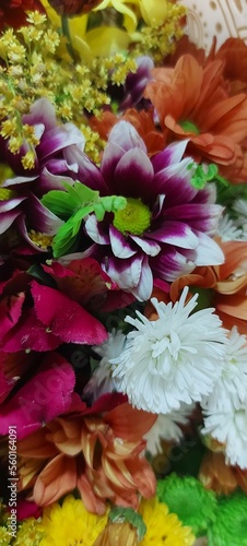 Flores