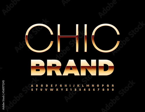 Vector elite logo Chic Brand with Golden Font. Luxury Alphabet Letters and Numbers set photo