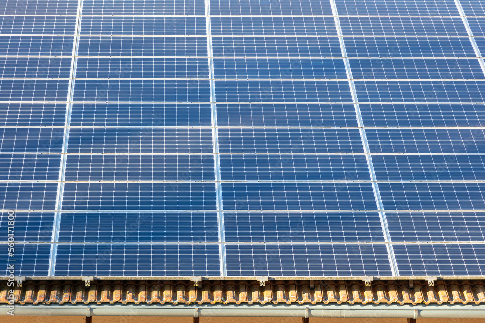 Fototapeta premium solar plant